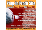 FIRE YOUR BOSS makes hundreds a day from placing ads novices welcome/full support