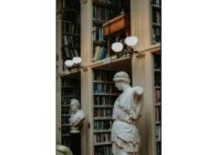 Best Recovery & Forensic Services