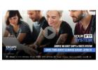 Discover the Fully Automated Income Machine!